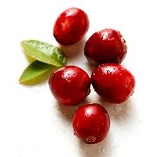 Tőzegáfonya Amerikai tőzegáfonya (vaccinium macrocarponum) www.nutrlab.hu