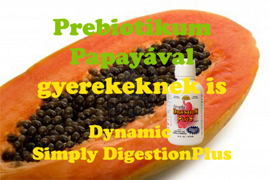 papaya-prebiotikum